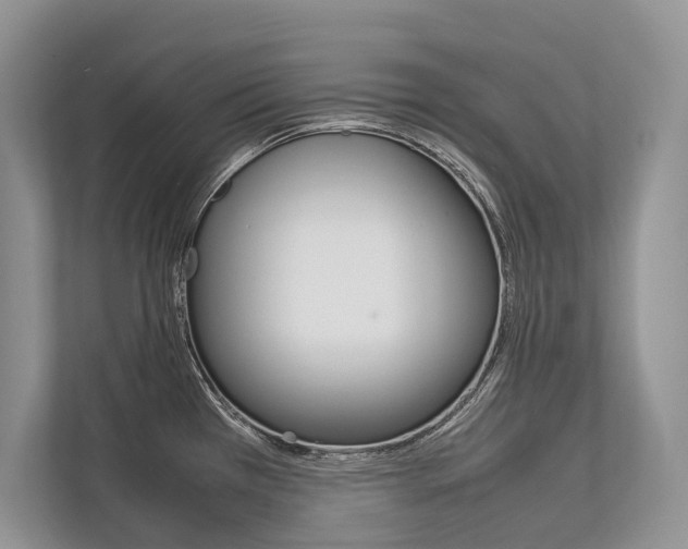 X0000113761385200909230938