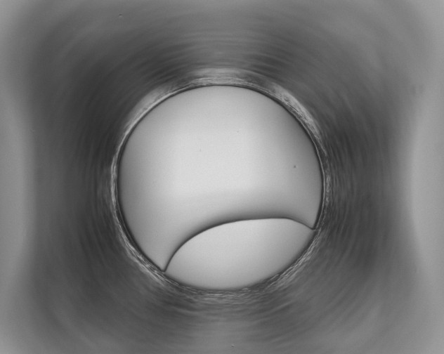 X0000113761386200909230938