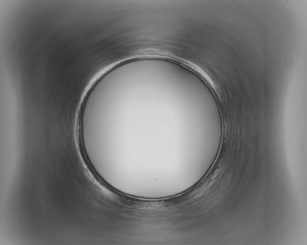 X0000113761387200909230938
