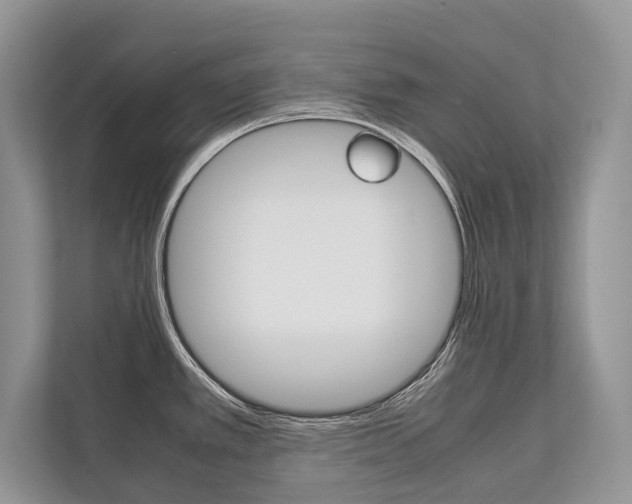 X0000113761389200909230938
