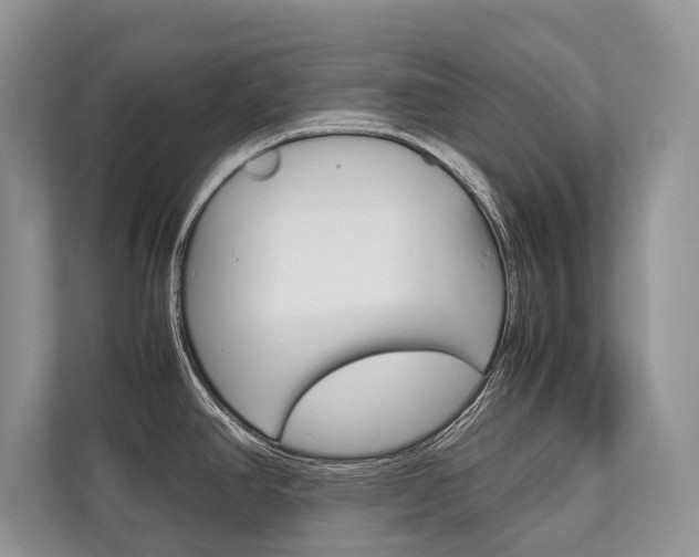 X0000113761390200909230938