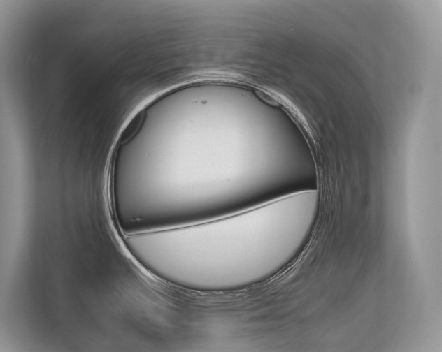 X0000113761391200909230938
