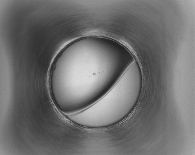 X0000113761392200909230938