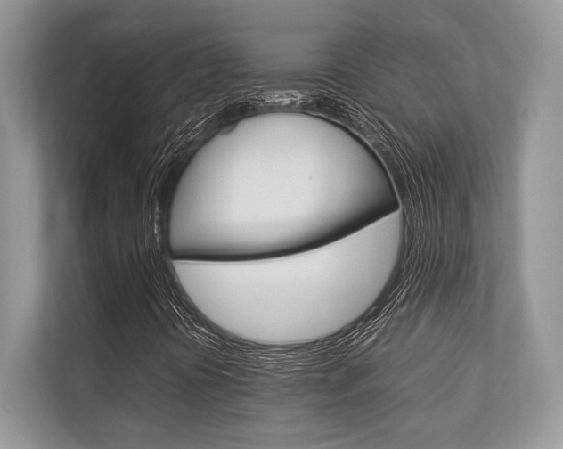 X0000113761394200909230937