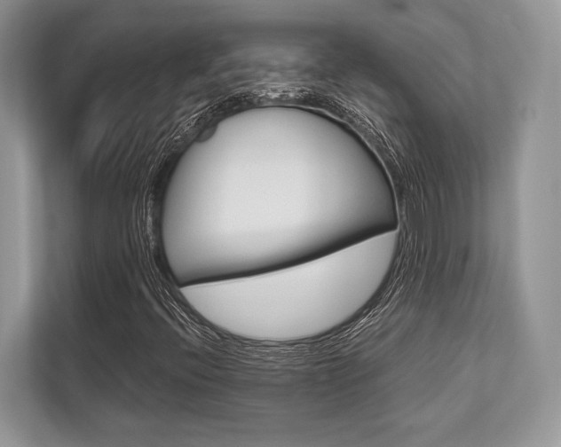 X0000113761396200909230937