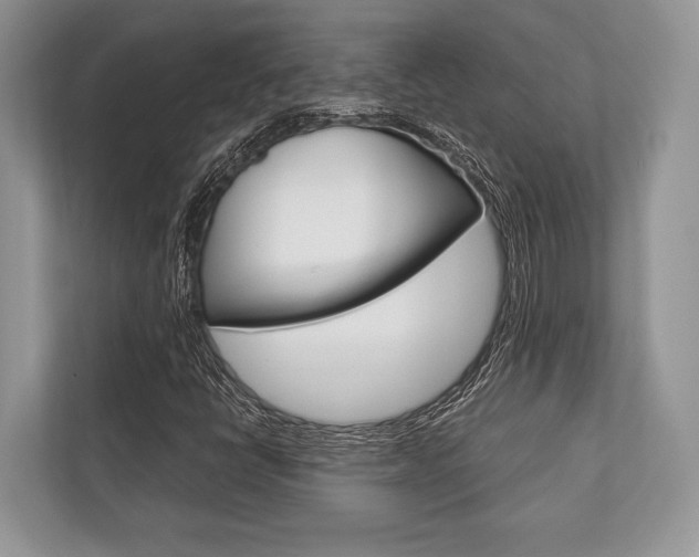X0000113761398200909230937
