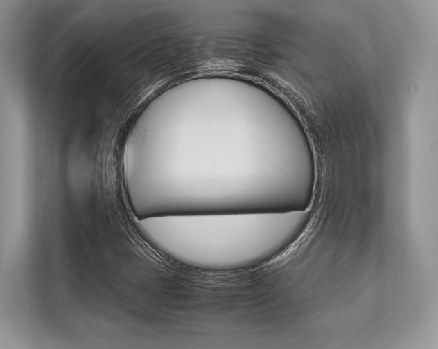 X0000113761401200909230937