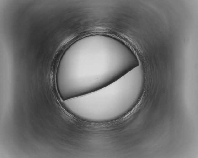 X0000113761402200909230937