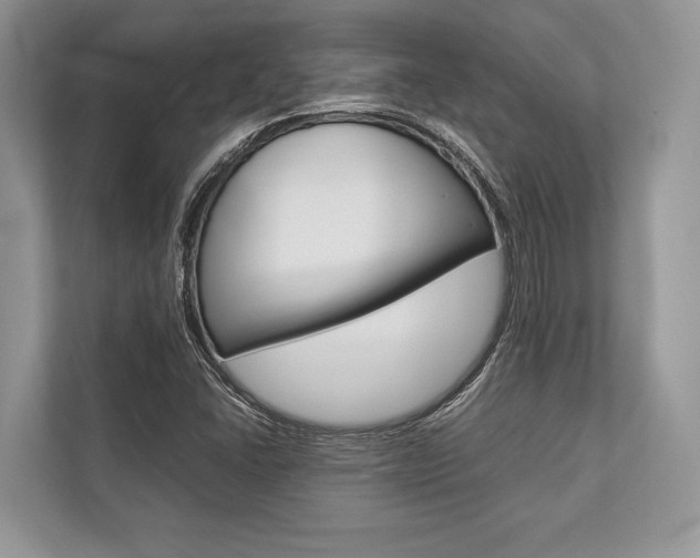 X0000113761406200909230937