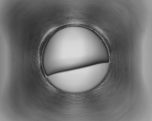 X0000113761408200909230937