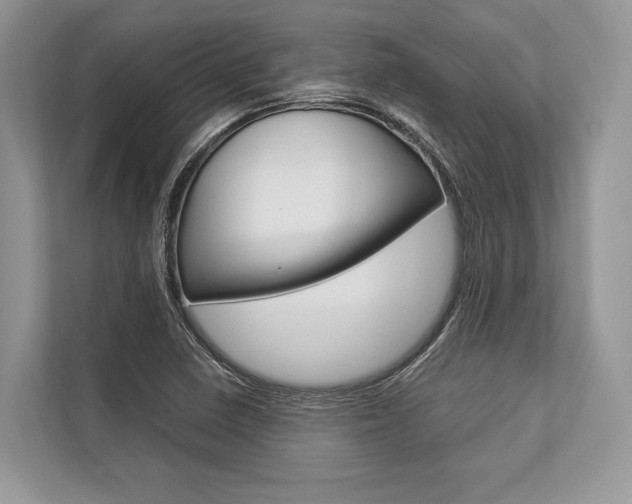 X0000113761410200909230937