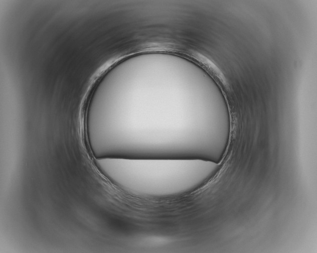 X0000113761419200909230938
