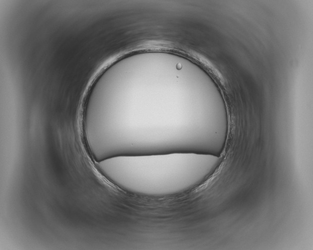 X0000113761421200909230938