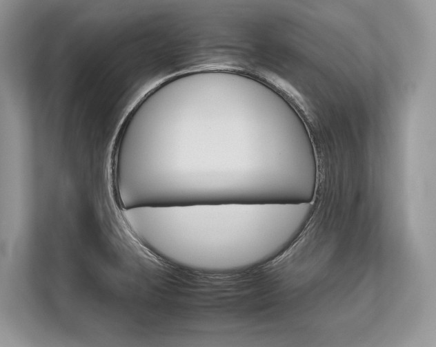 X0000113761423200909230938
