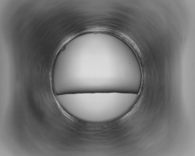 X0000113761425200909230938