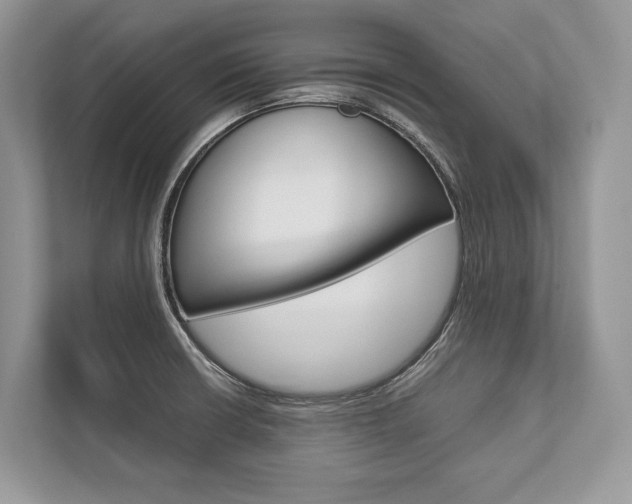 X0000113761426200909230938