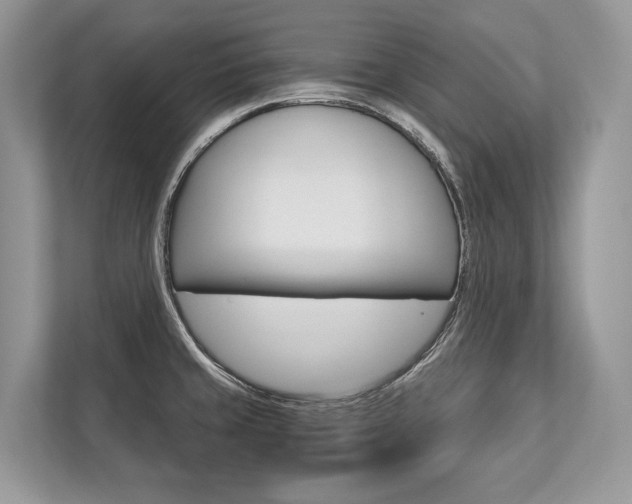 X0000113761429200909230938