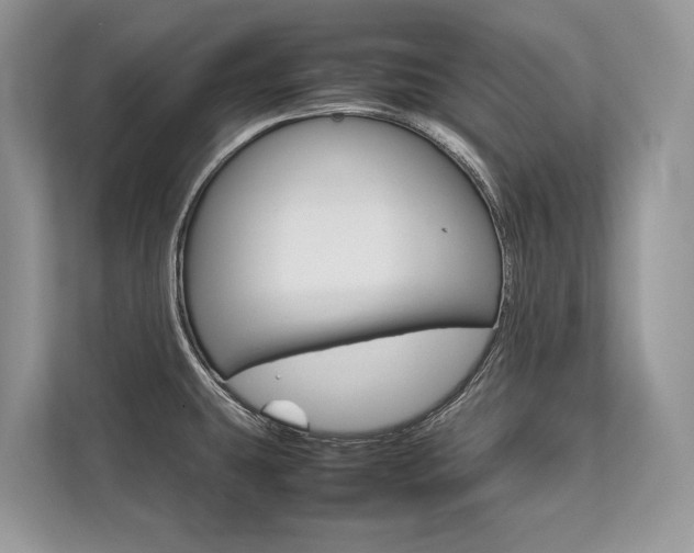 X0000113761431200909230938