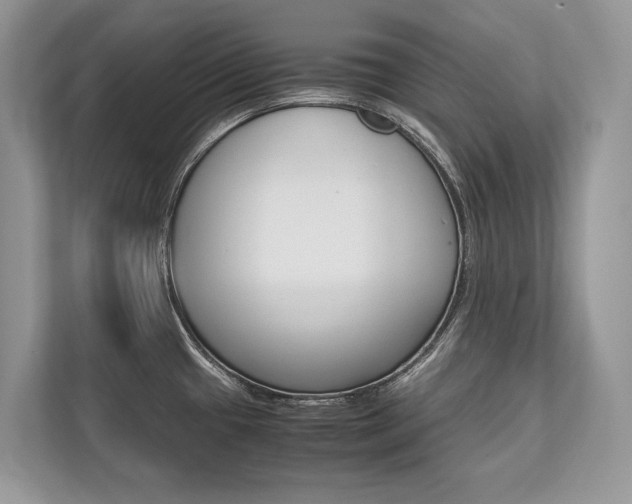 X0000113761433200909230938