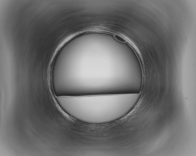 X0000113761437200909230938