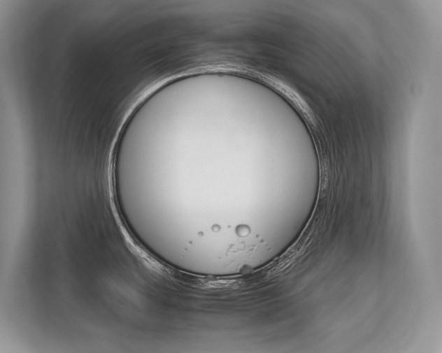 X0000113761439200909230938