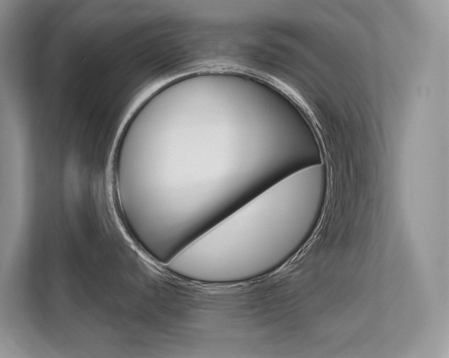 X0000113761440200909230938