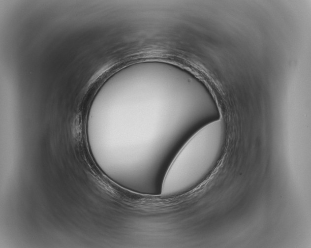 X0000113761450200909230937