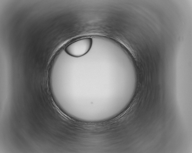 X0000113761452200909230937