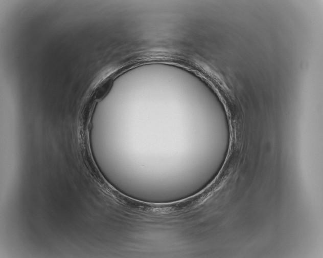X0000113761453200909230937