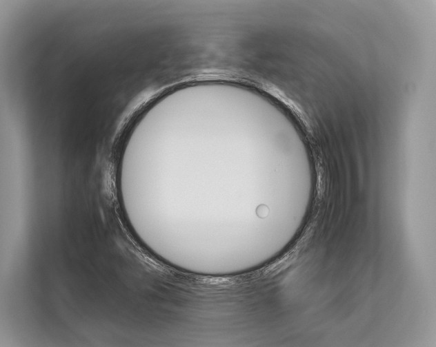 X0000113761454200909230937