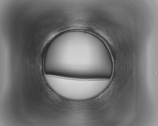 X0000113761455200909230937