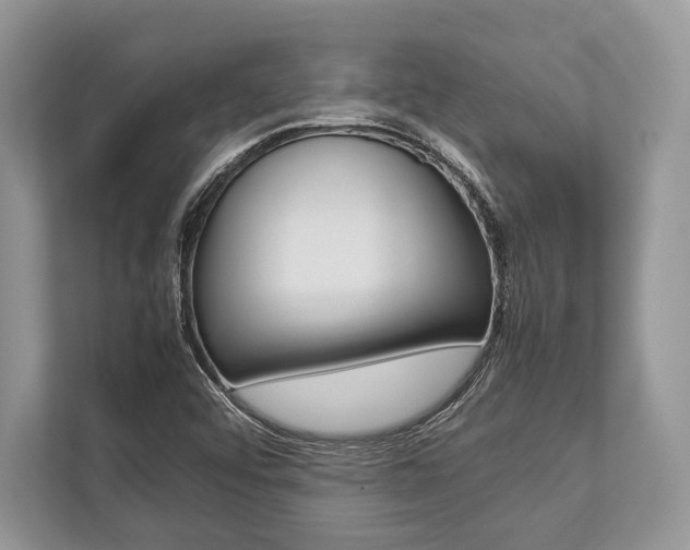 X0000113761456200909230937