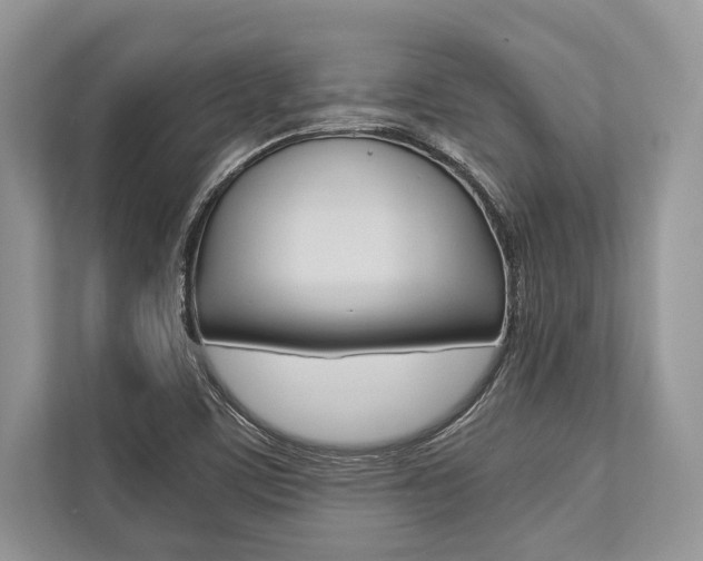 X0000113761459200909230937