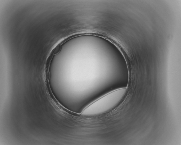 X0000113761460200909230937