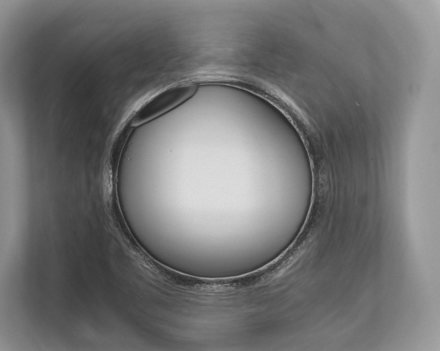 X0000113761461200909230937