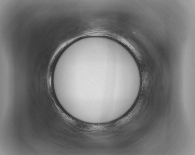 X0000113761462200909230937