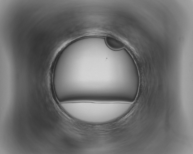 X0000113761463200909230937