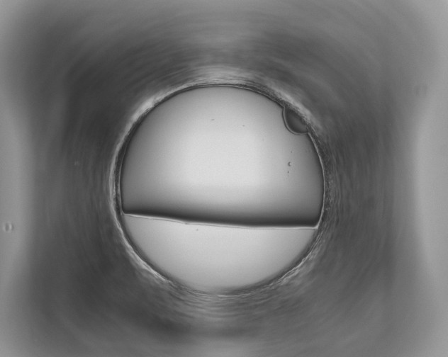 X0000113761471200909230937