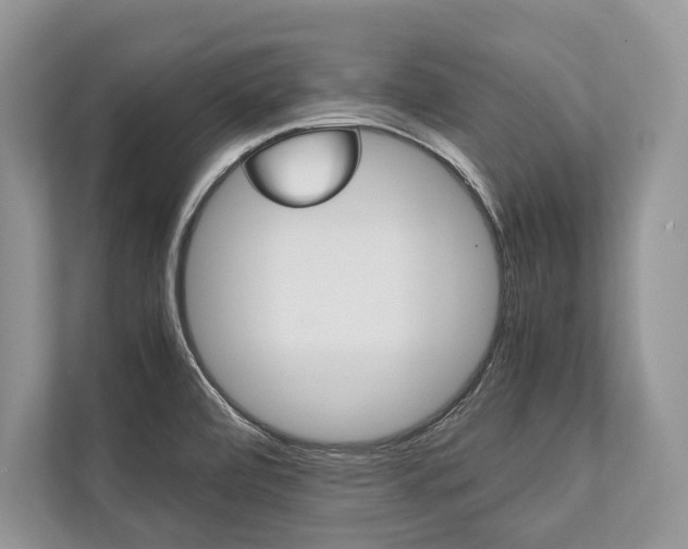 X0000113761472200909230937