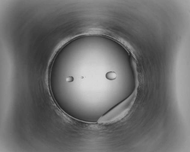 X0000113761480200909230937