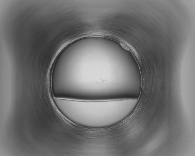 X0000113761483200909230937