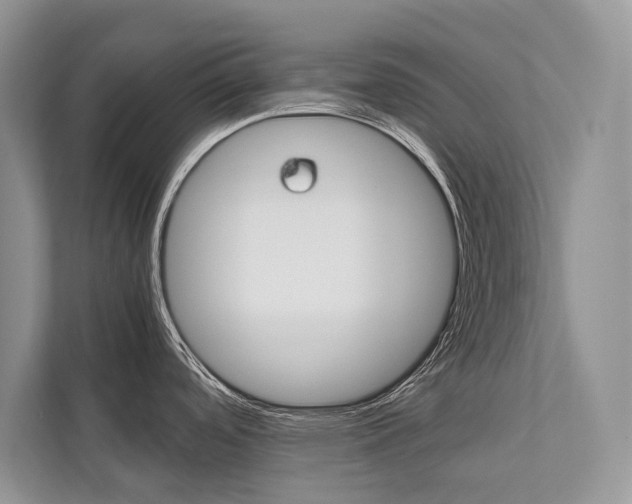 X0000113761488200909230936