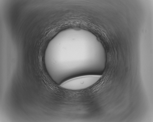 X0000113761489200909230936