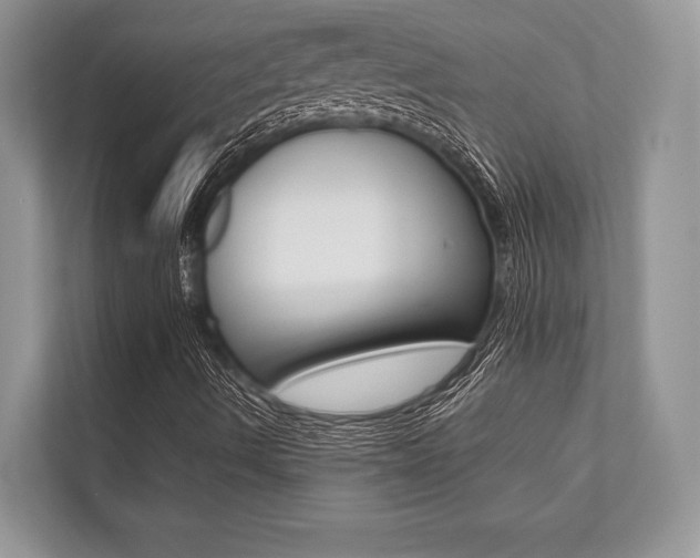 X0000113761490200909230936