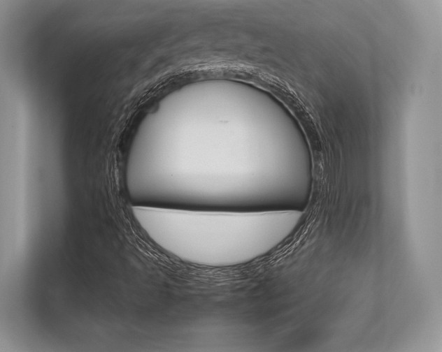 X0000113761493200909230936