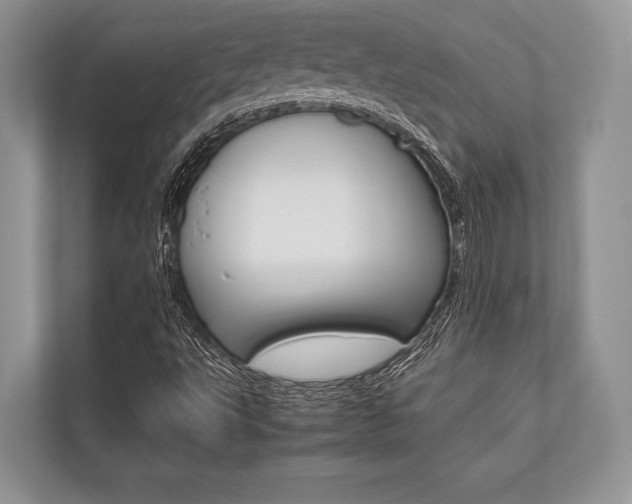 X0000113761495200909230936