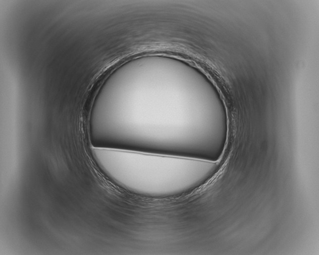 X0000113761497200909230936