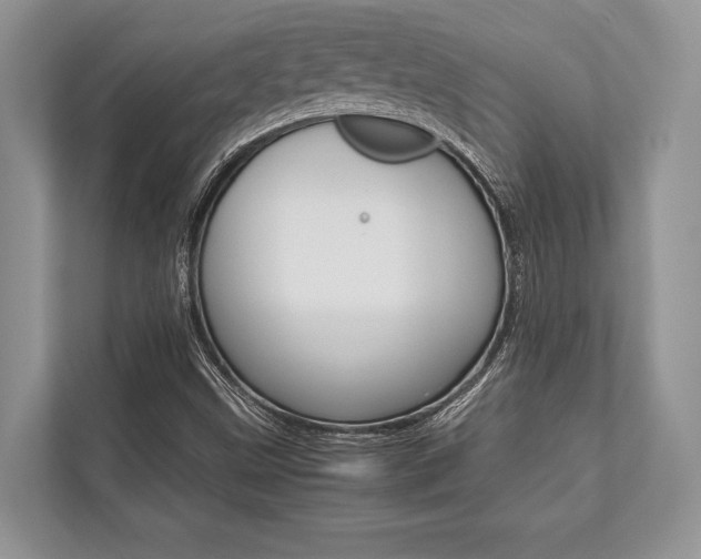 X0000113761499200909230936