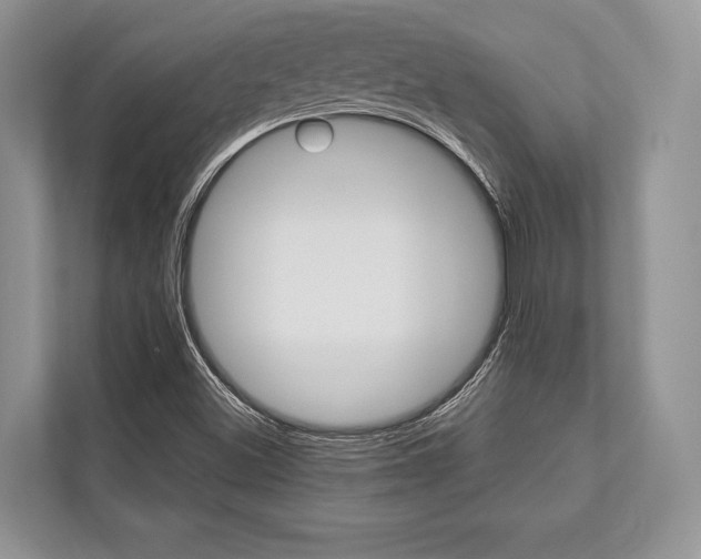 X0000113761500200909230936