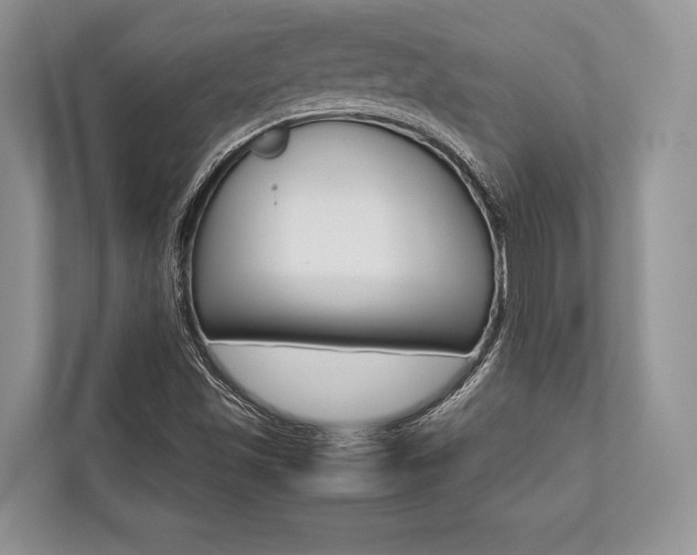 X0000113761501200909230936